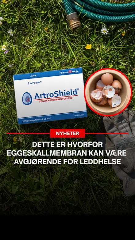 Marketr static ad