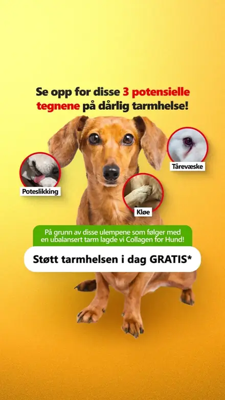 Marketr static ad