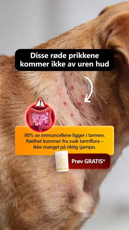 Marketr static ad