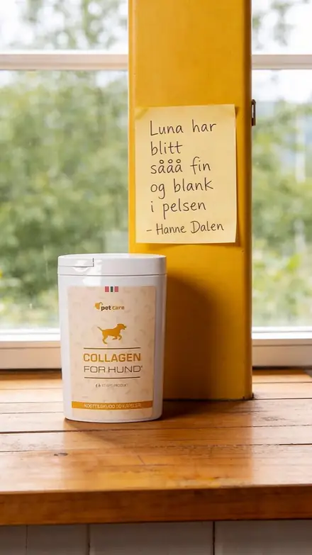 Marketr static ad