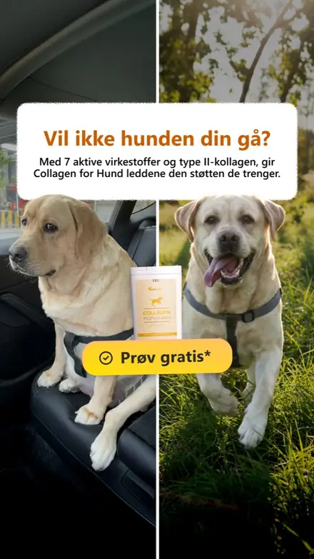 Marketr static ad