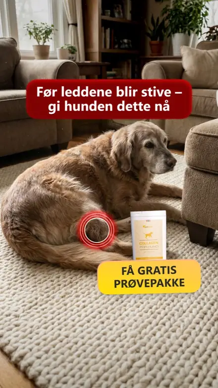 Marketr static ad