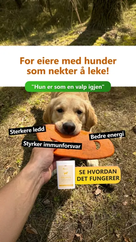 Marketr static ad
