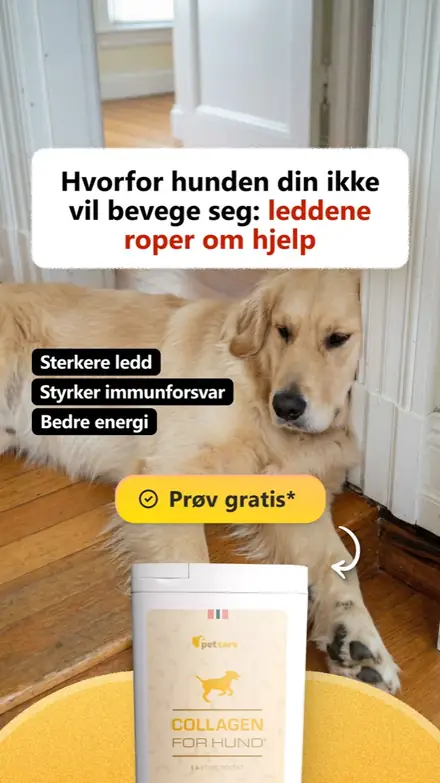 Marketr static ad