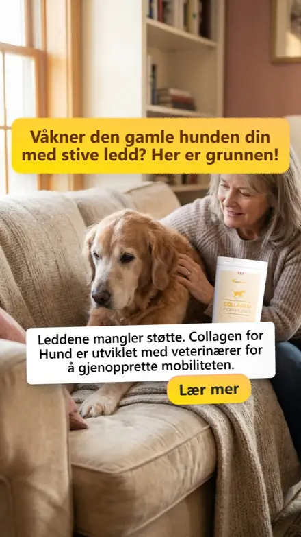 Marketr static ad