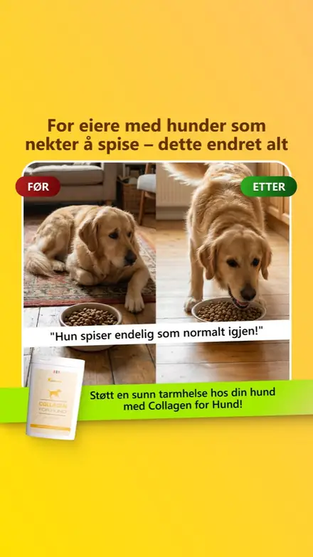 Marketr static ad