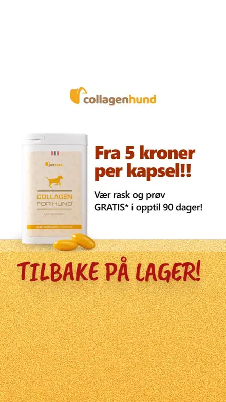 Marketr static ad
