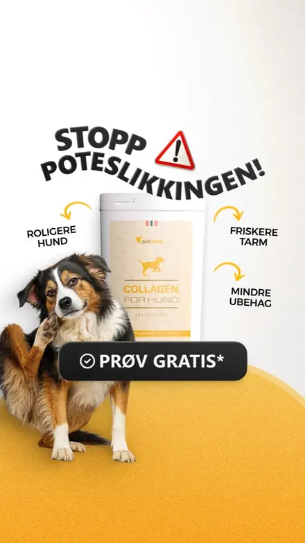 Marketr static ad
