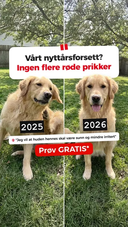 Marketr static ad
