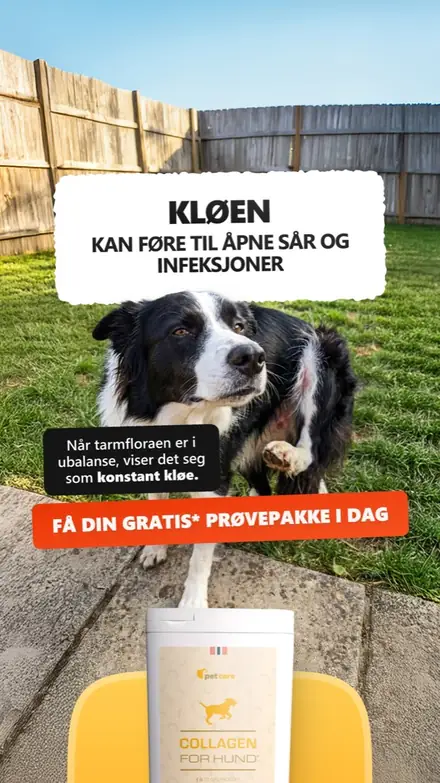 Marketr static ad
