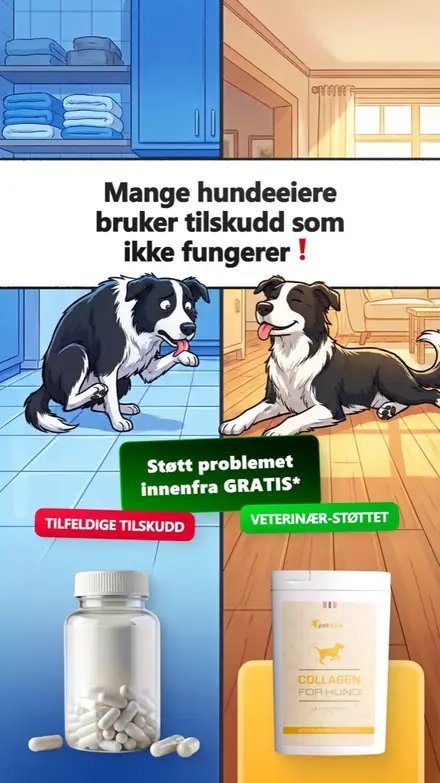 Marketr static ad