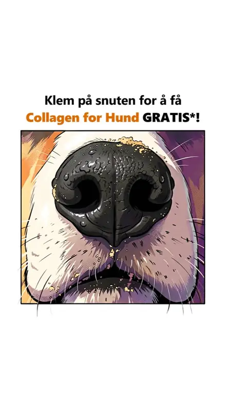 Marketr static ad