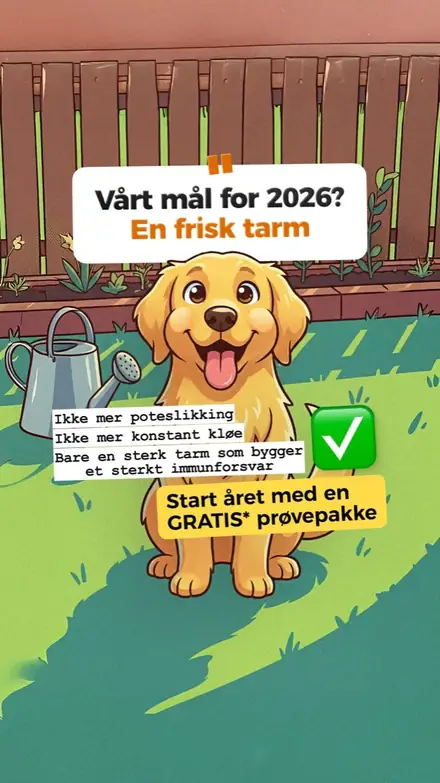 Marketr static ad