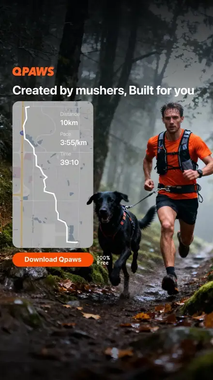 Marketr static ad
