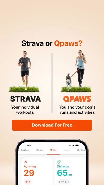 Marketr static ad