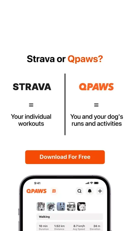 Marketr static ad