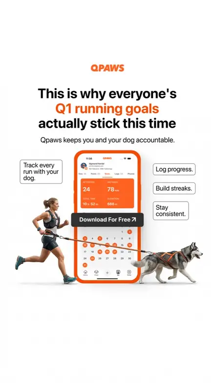 Marketr static ad