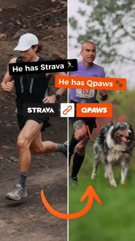 Marketr static ad
