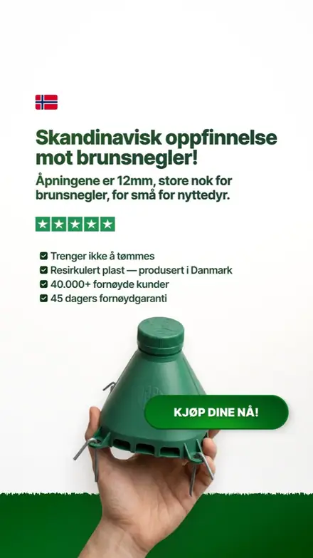 Marketr static ad